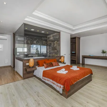 Villa Vintila By
