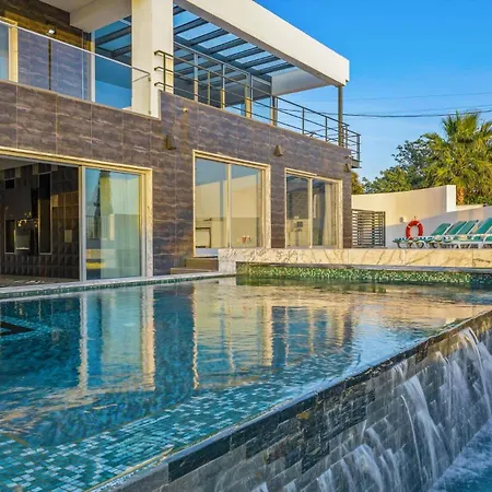 Villa Vintila By